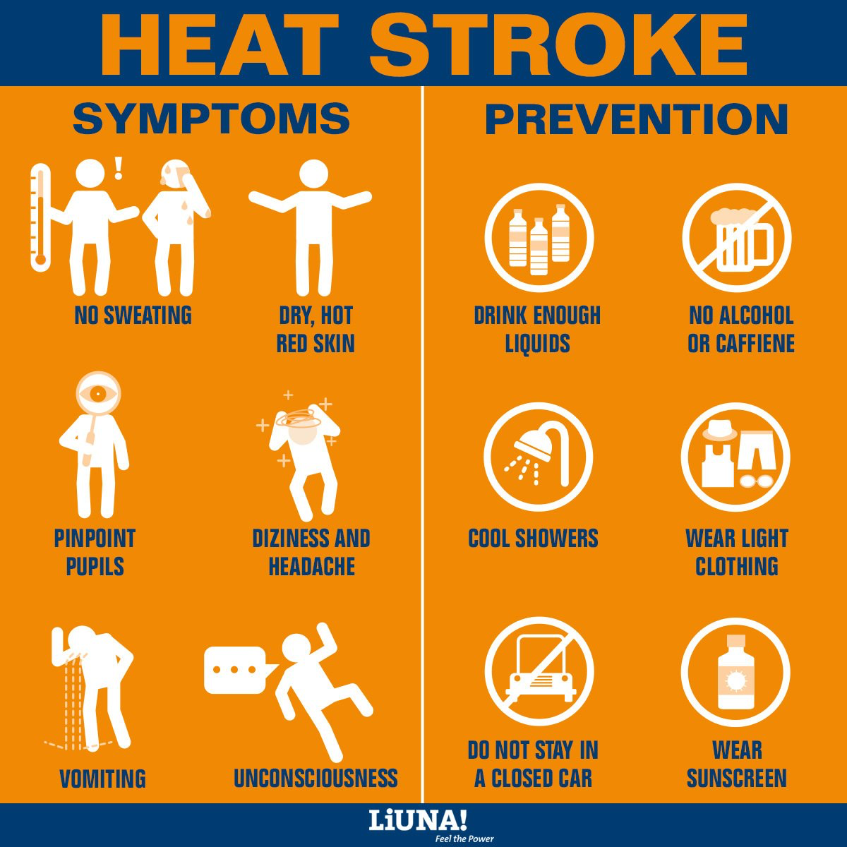 HEAT SAFETY TIPS – LOCAL 1001 NEWS